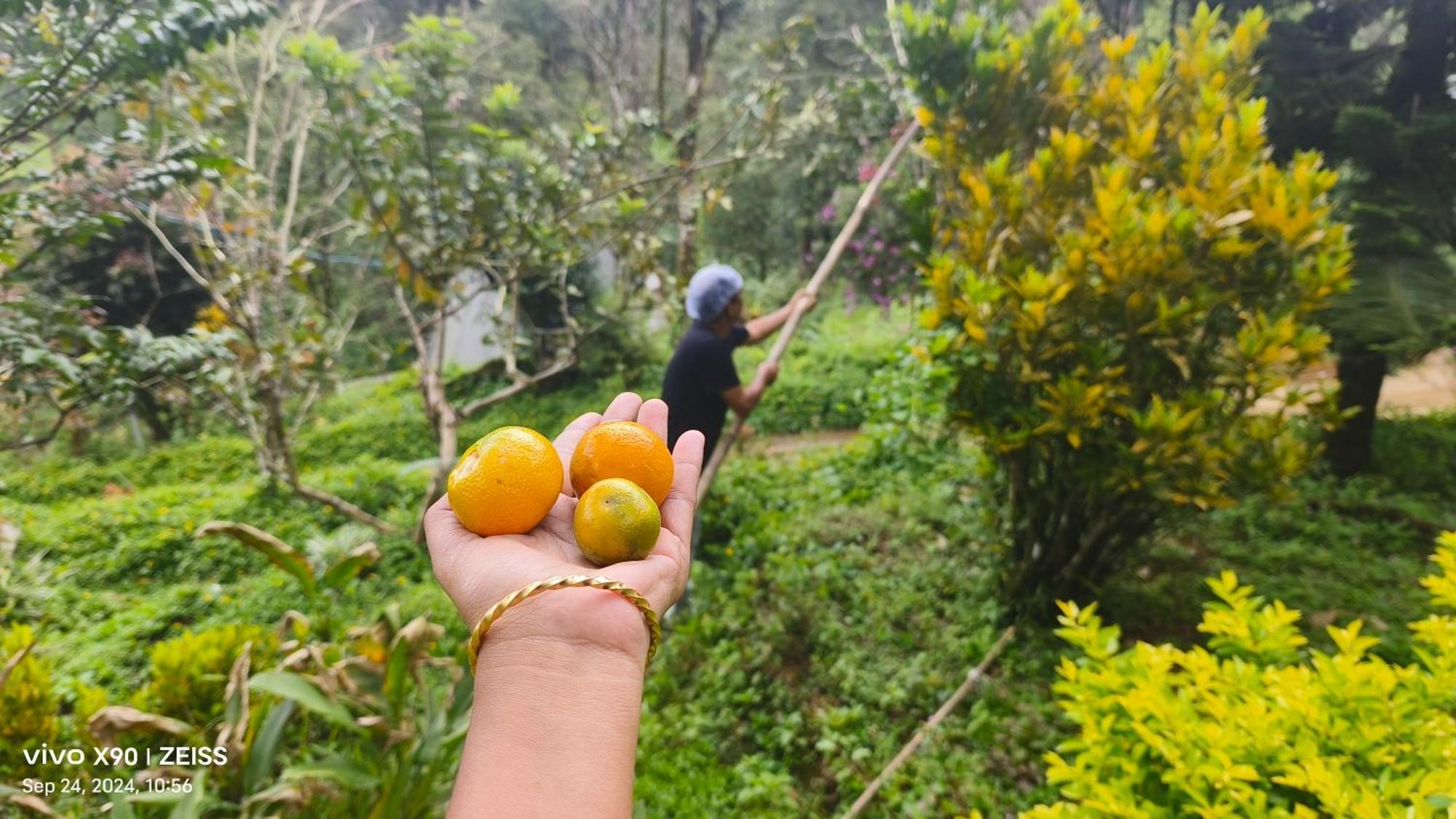 Forestscape Resort Munnar Esterno foto