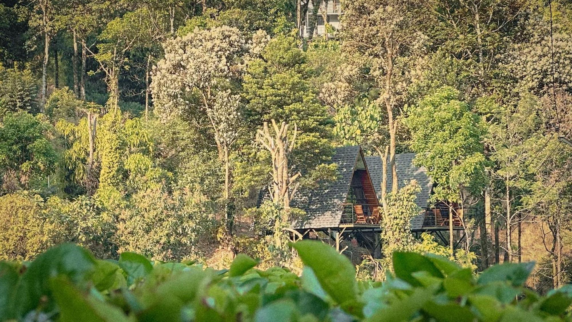 Forestscape Resort Munnar Esterno foto